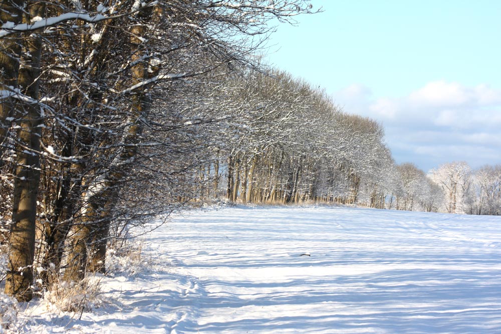 Winter2010